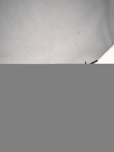 Rholdphoto