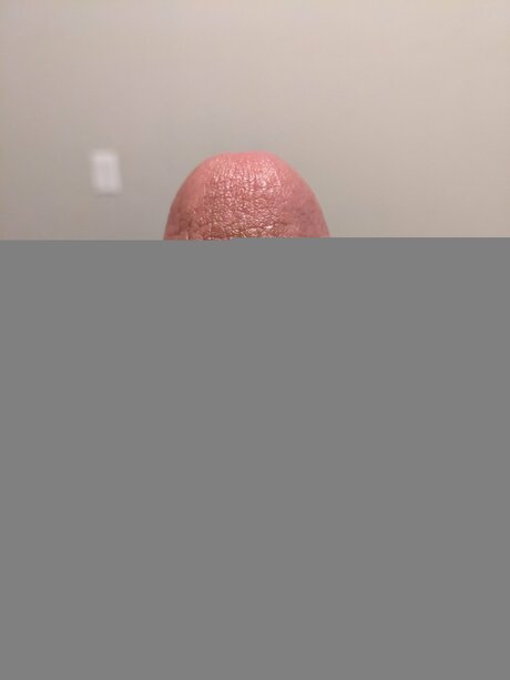 Icemanshow