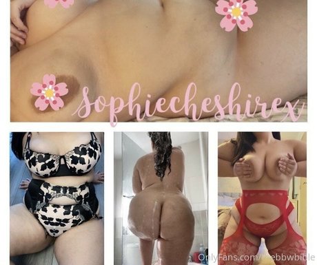 Thebbwbible