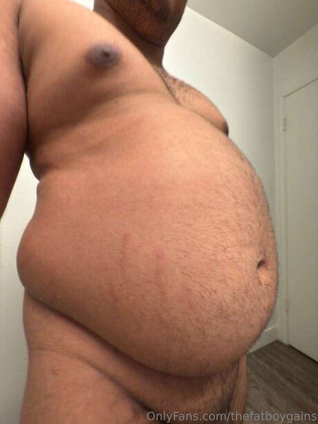 Thefatboygains