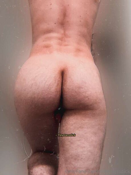 Tinytransdick