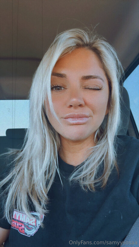 Samyysosaa