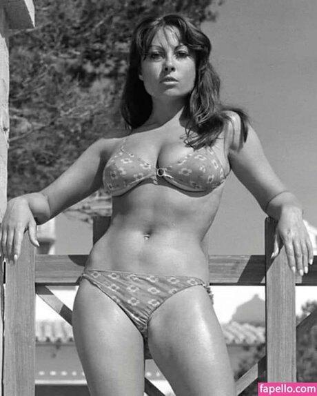 Vintage English Pinups