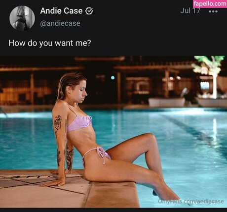 And1e C4se