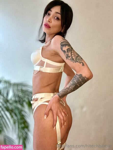 Hitechbarbie