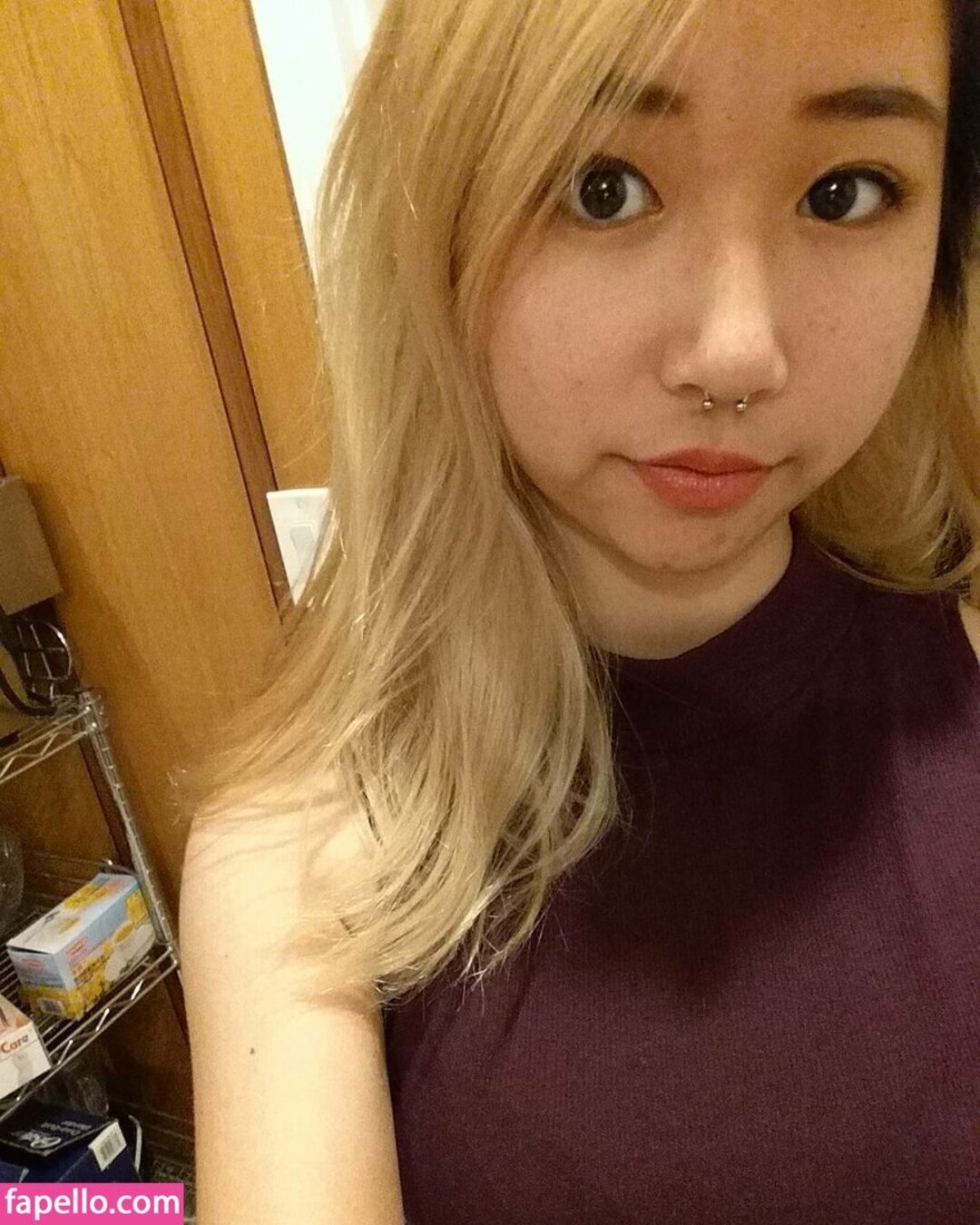 Naakte gelekte OnlyFans-foto van Sophia Phan #323 Naakte gelekte OnlyFans-foto van Sophia Phan #323