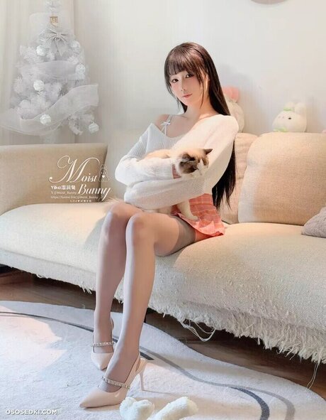 Yaokoututu