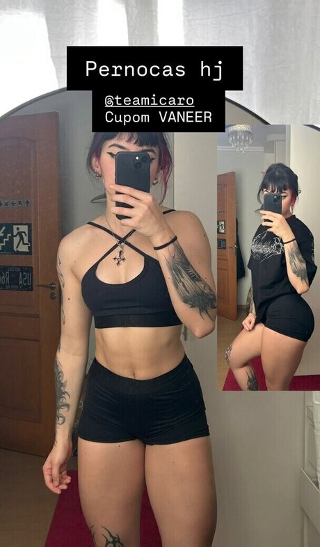 Vaneeeer