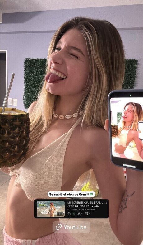 Soydairi
