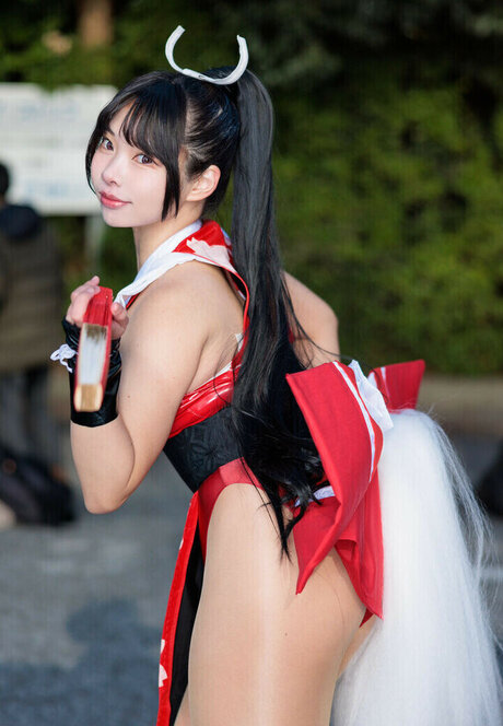 Bokunopurin