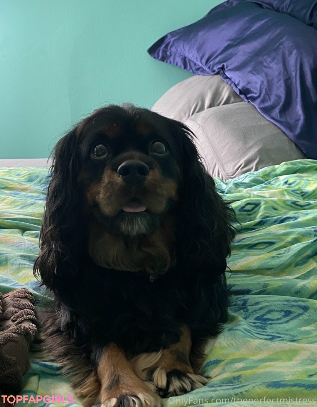 Naakte gelekte OnlyFans-foto van Perfect Mistress #72 Naakte gelekte OnlyFans-foto van Perfect Mistress #72