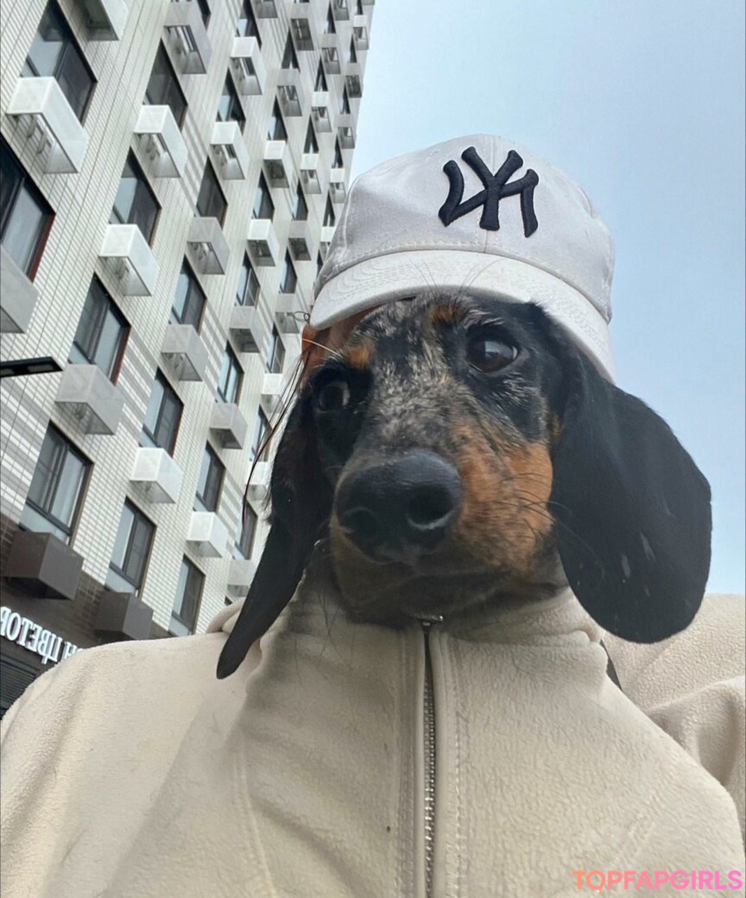 Naakte gelekte OnlyFans-foto van Daria Perel #569 Naakte gelekte OnlyFans-foto van Daria Perel #569