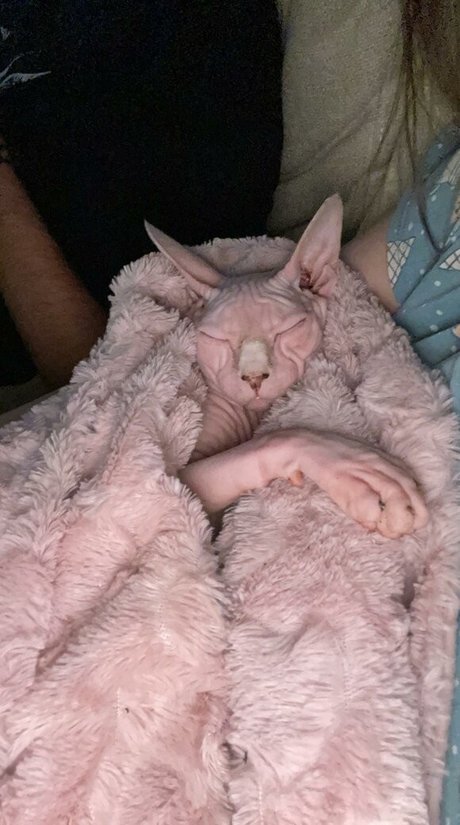 Naakte gelekte OnlyFans-foto van Sxvvk