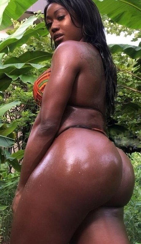 Nayfit