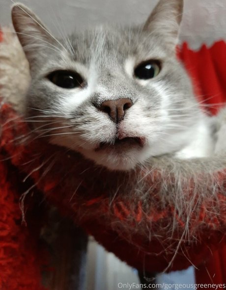 Gorgeousgreeneyes