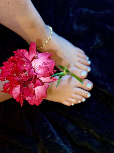 Pretty Feet 