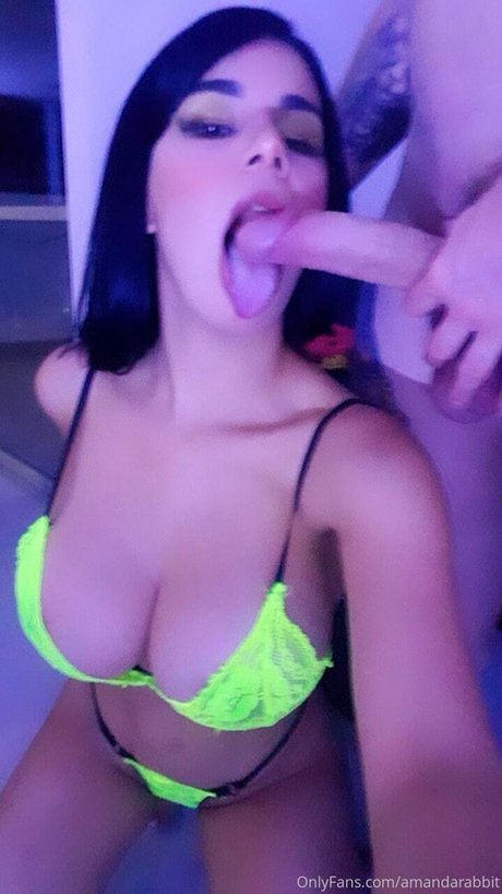 Amanda Rabbit