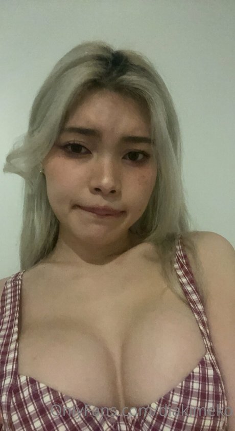 Diakimeko