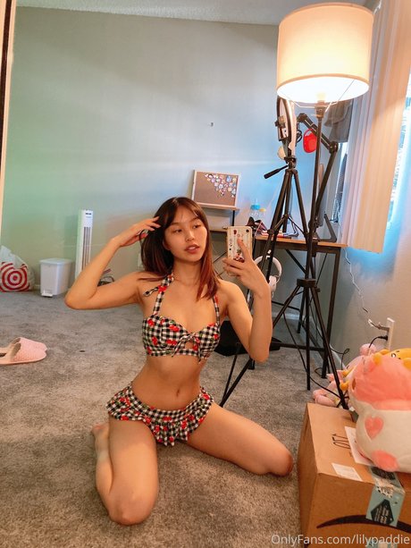 Lilypaddie