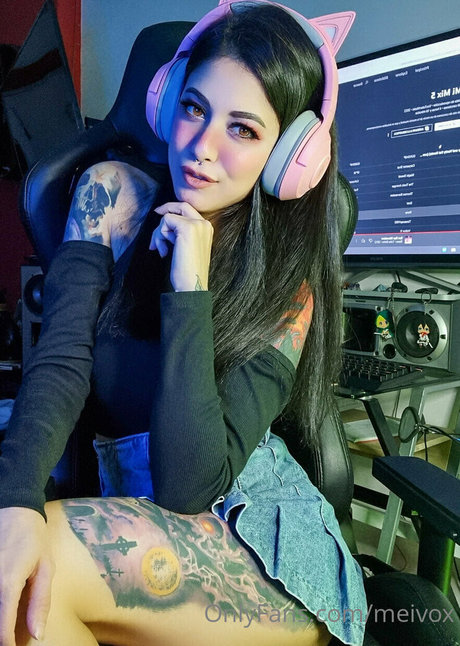 Meivox