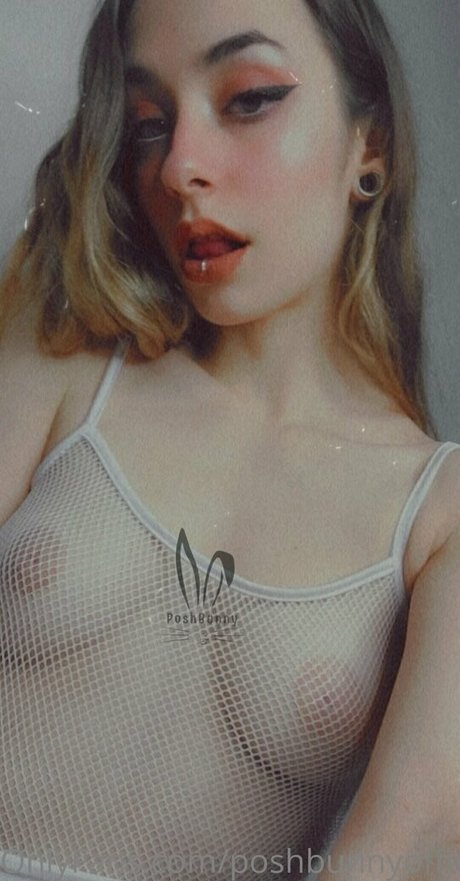 Poshbunnyofficial_free