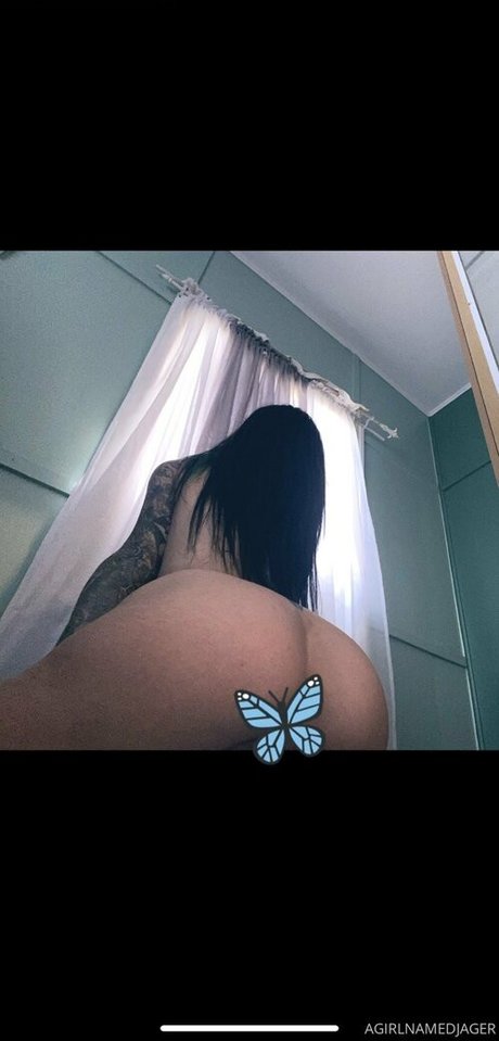 Agirlnamedjager