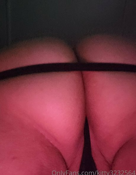 Kitty3232564