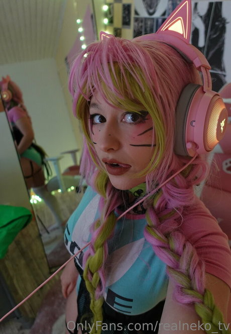 Realneko_tv
