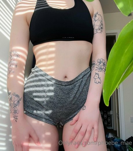 Phoebe_mae