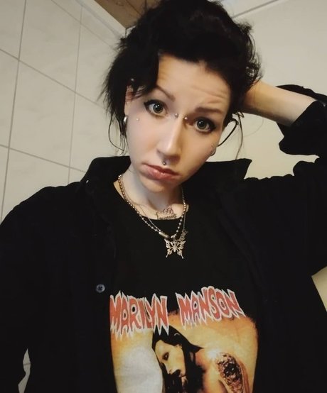 Kitten