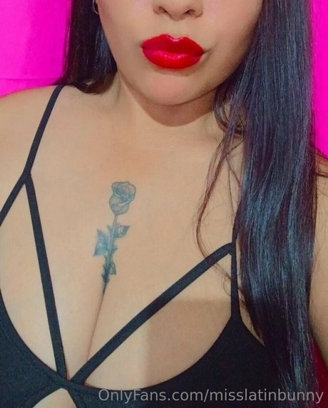 Misslatinbunny