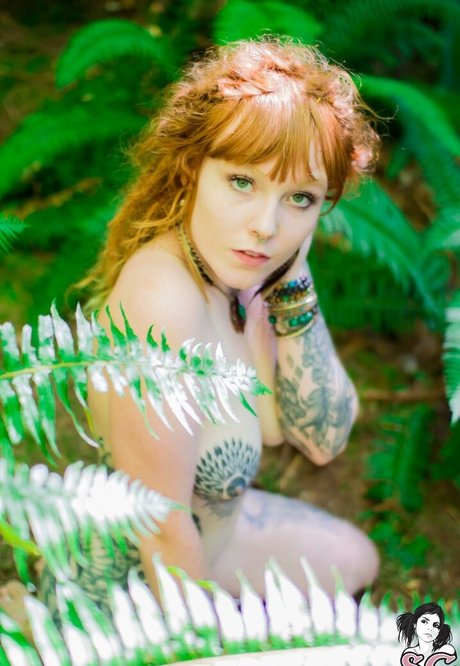 Lilredfoxx