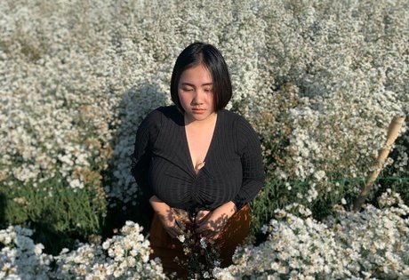 Phiromya Pangyouk