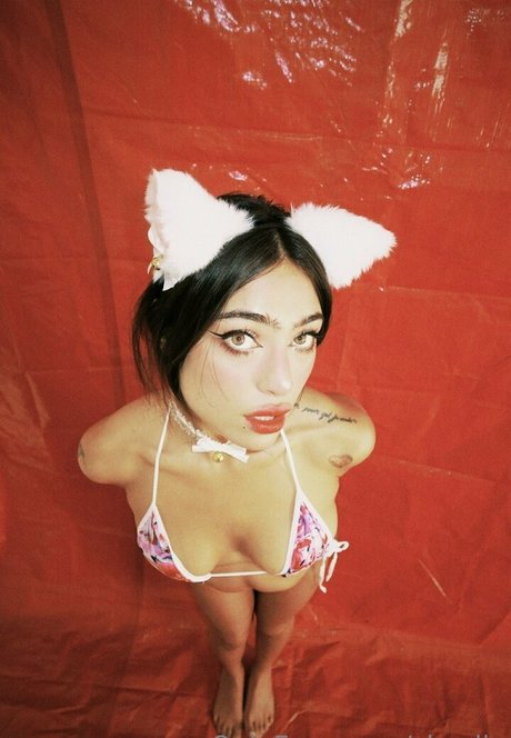 Skyelia