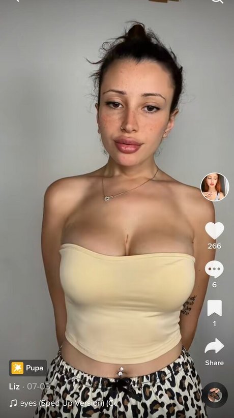 Lizsurace