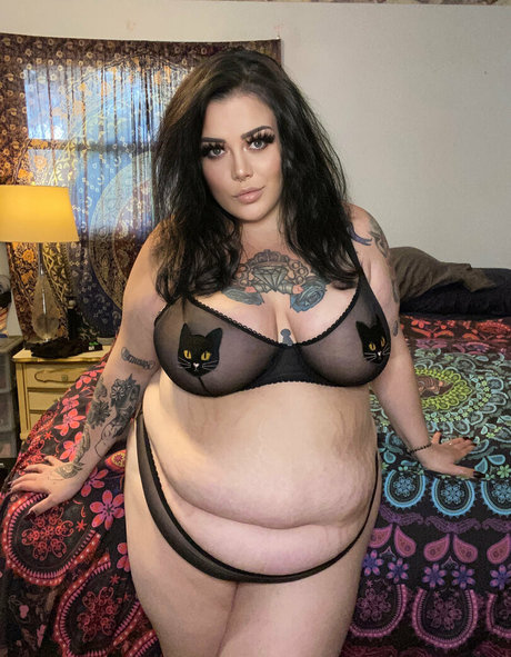 Felyxthecat