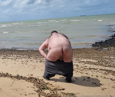 Bigdaddyvideos
