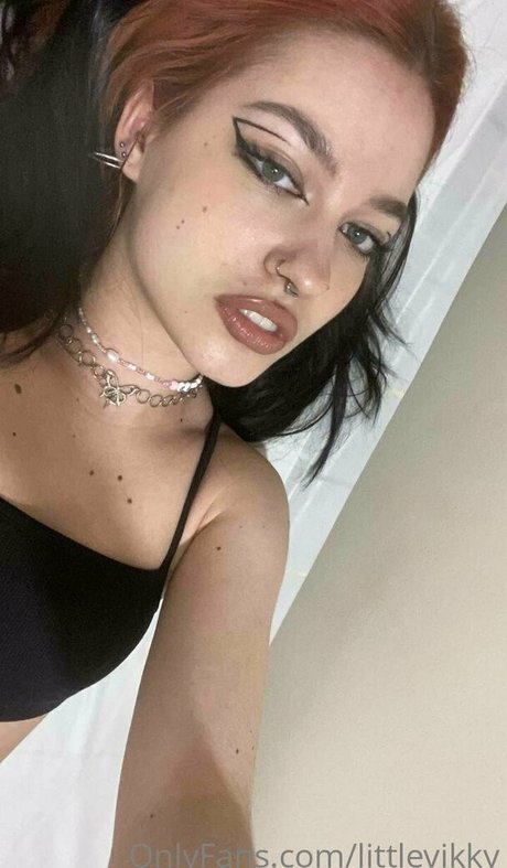 Littlevikky
