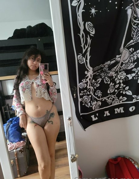 Xsugarvulpesx