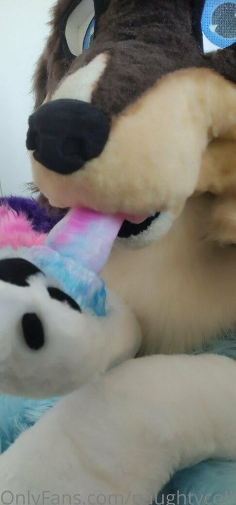 Naughtycolliead