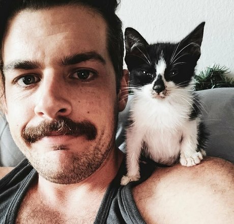 Fosterkittendad