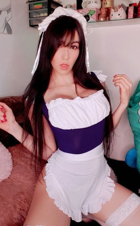 Hakicosmodel