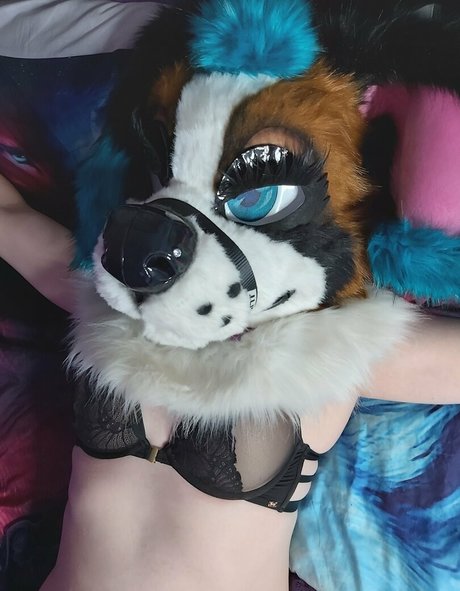 Lexipuppy