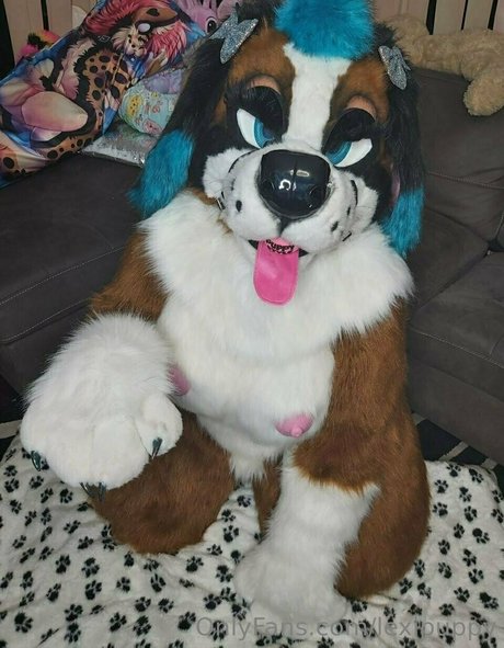 Lexipuppy