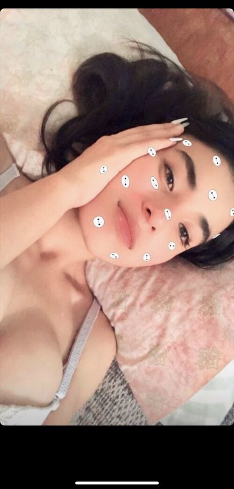Cmp Perla