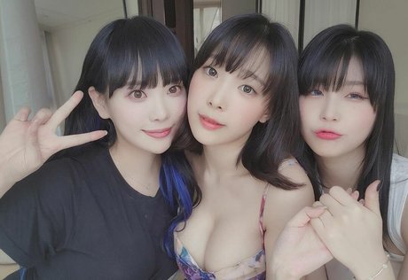 Dami
