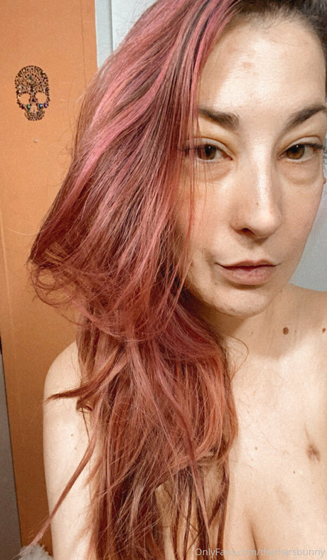 Themarsbunny