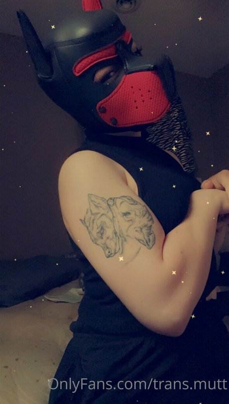 Trans.mutt