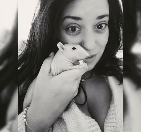 Lartdanstoutessesformes