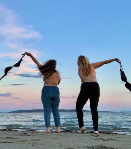 Lartdanstoutessesformes